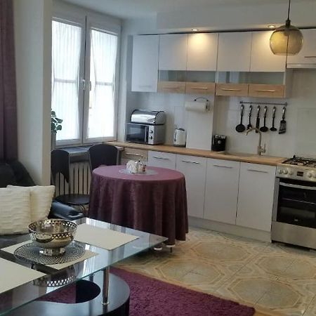 Apartament Zamosc Fiolet Exteriér fotografie