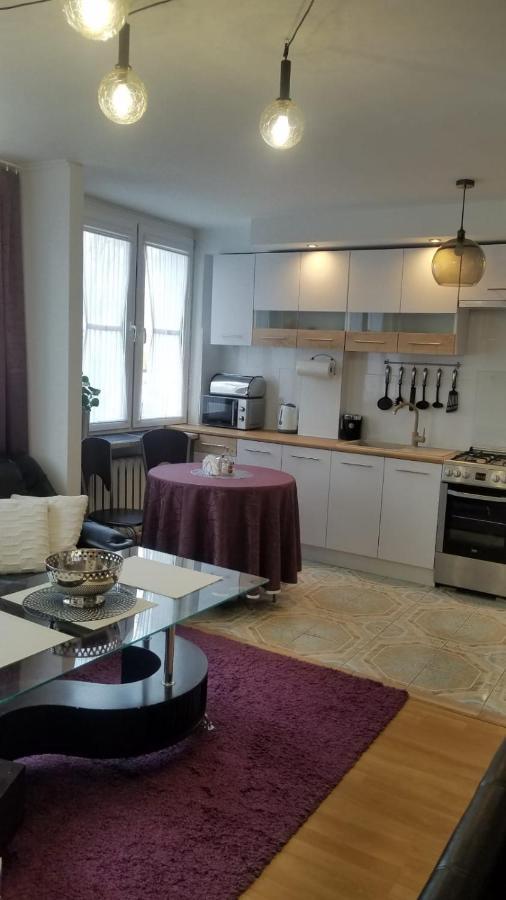 Apartament Zamosc Fiolet Exteriér fotografie